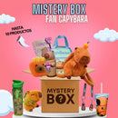 MISTERY BOX FAN DE CAPYBARA